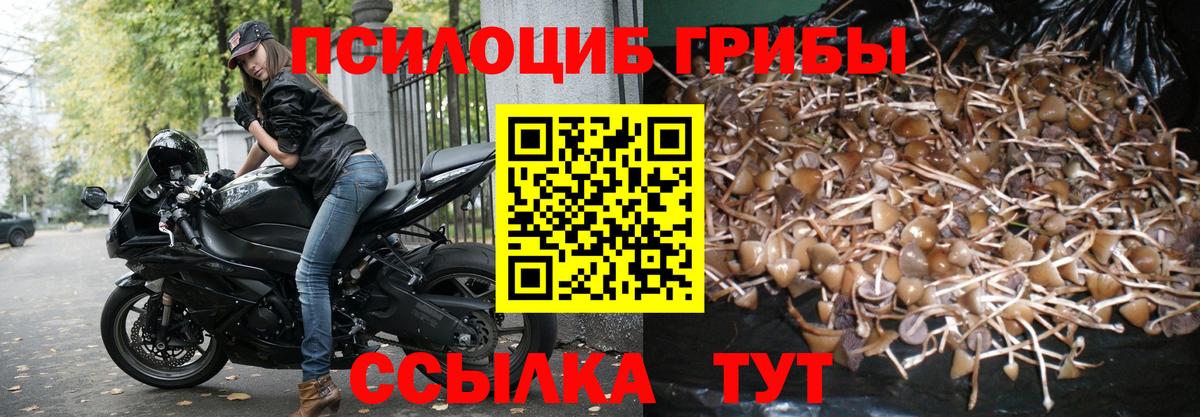 Псилоцибиновые грибы GOLDEN TEACHER Чита